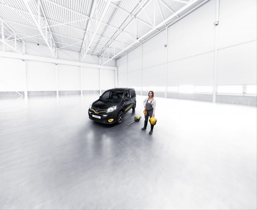  Renault Kangoo Formula Edition 2017 года  (WW) (фото 5 из 8)